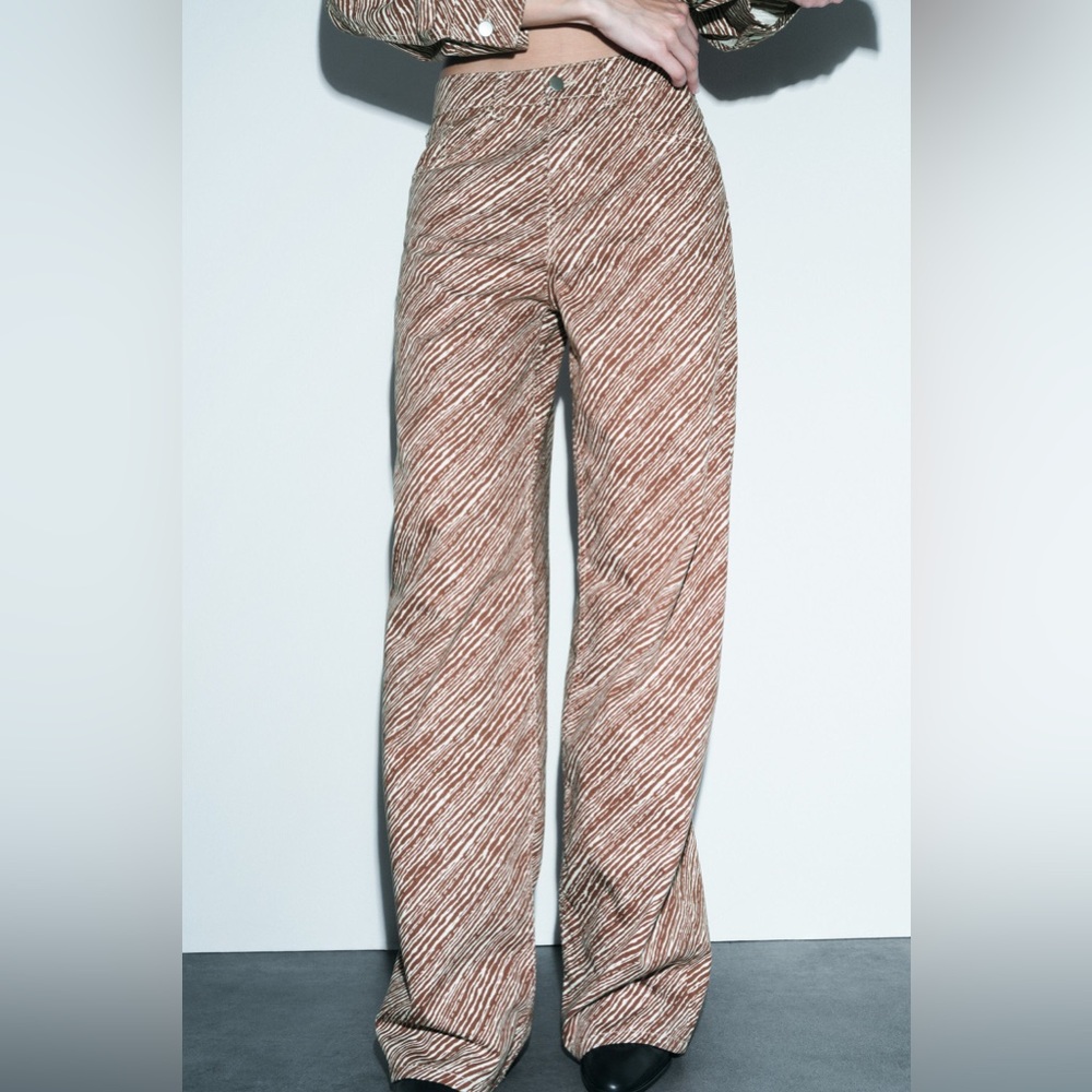 Zara NWOT Limited Edition Printed Pants